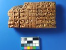 Inspektion von Rinderherden in elamischer Sprache aus Goshtaspi, um 1100 v.Chr.; Museum von Yasudsch, Iran. Foto: Carmen Gütschow, Berlin. © Gostaspi-Projekt, LMU